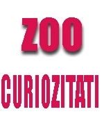 ZOO Curiozitati