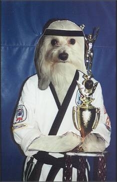 Karate Dog, o noua comedie marile ecrane