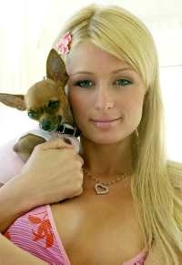 Paris Hilton are un nou prieten patruped