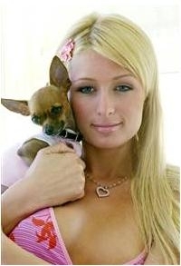 Paris Hilton se lanseaza in moda… canina