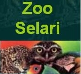 Bucuresti: ZOO SELARI – animale si accesorii pentru acestea