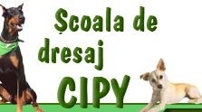 Bucuresti: CIPY – scoala de dresaj