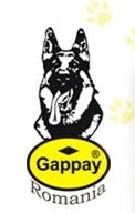 Bucuresti: GAPPAY – accesorii