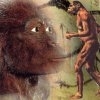 O fosila de australopitec schimba conceptia cercetatorilor despre evolutie