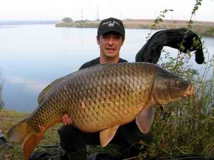 Crapup , cyprinus carpio