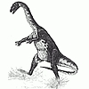 Ammosaurus