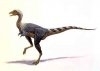 Alvarezsaurus sau soparla lui Alvarez