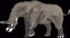 Platybelodon