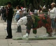 Expozitie de animale pe cale de disparitie in Mexic