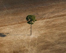 Cauza biodiversitatii este mai urgenta decat cea a schimbarilor climatice