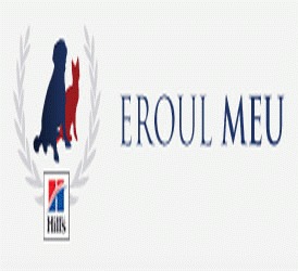 Eroul meu – la start