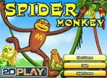 Spider Monkey