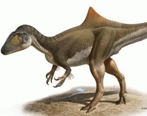 Dinozaurul Quasimodo, descoperit in Spania