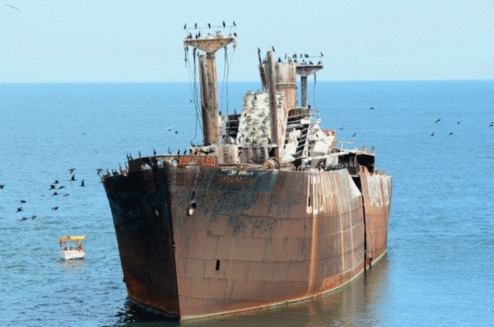 Titanicul din Costinesti, cotropit de cormorani