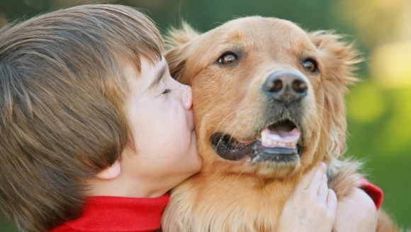 Este bine să ne sărutam animalul de companie?