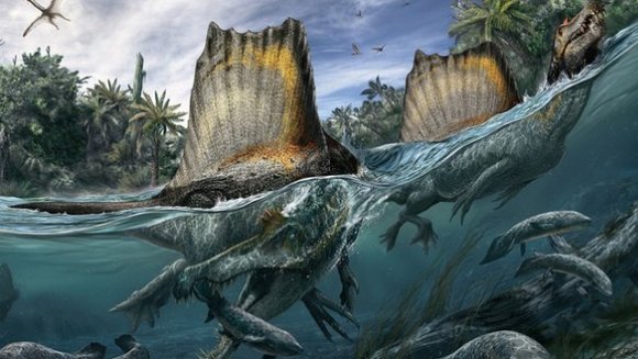 Spinosaurus aegyptiacus, dinozaurul înotător care mânca rechini