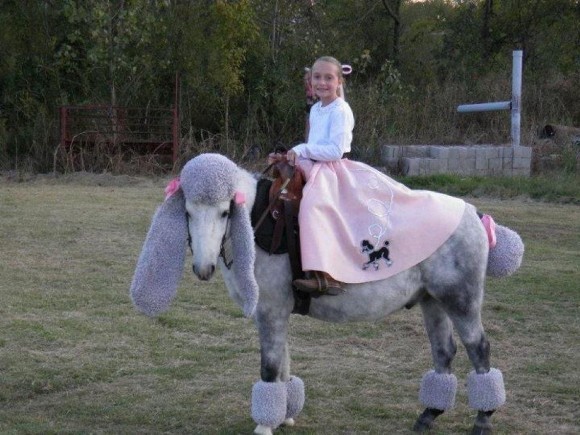 Cele mai ingenioase costume pentru cai (Galerie Foto)