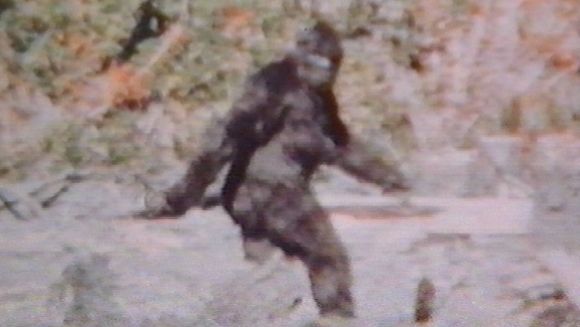 L-au găsit pe Bigfoot?