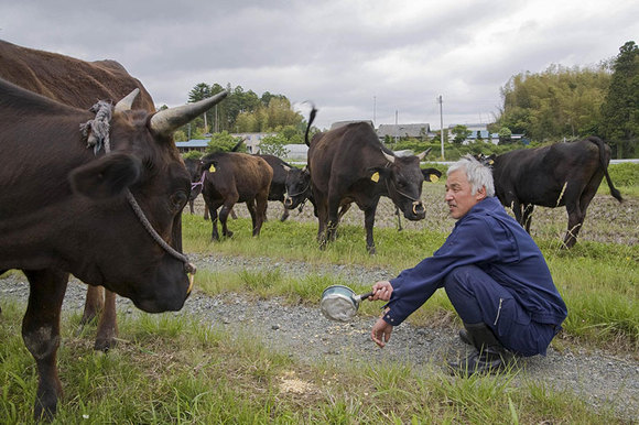 Cel mai iriadiat om din lume. A decis sa ramâna la Fuckushima, pentru a hrani animalele (Galerie Foto)