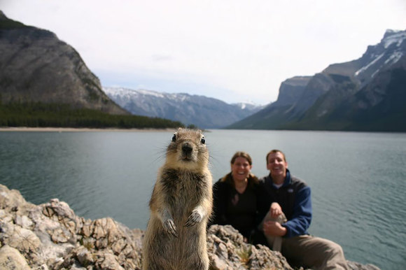 Top 10 cele mai amuzante fotografii cu animale, dintotdeauna (Galerie Foto)