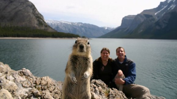 Top 10 cele mai amuzante fotografii cu animale, dintotdeauna – Galerie Foto