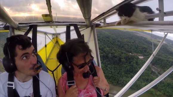 Cu pisica pe… aripa avionului! VIDEO