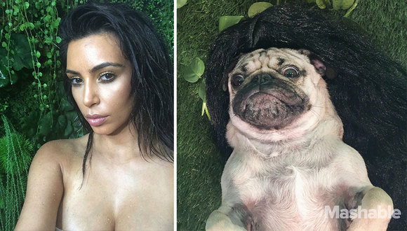 Recunoașteți diferențele! Pugul care o imită pe Kardashian în cele mai sexy selfie-uri (Galerie Foto)