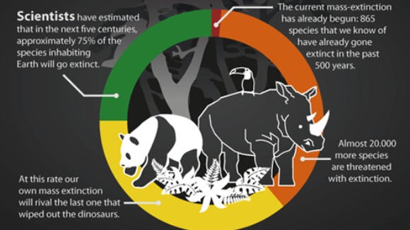 A şasea extincţie în masă se întâmplă acum! Inclusiv oamenii ar putea dispărea