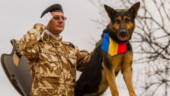 Max, fostul câine al Armatei, a murit