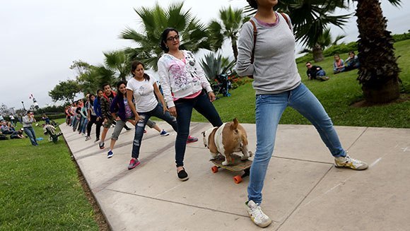 Adorabil! A intrat în Cartea Recordurilor: e campion la skateboard! VIDEO