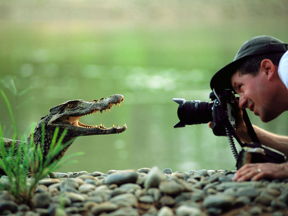 20 de motive pentru care a fi un fotograf de natură este cea mai mişto meserie din lumea (Galerie Foto)