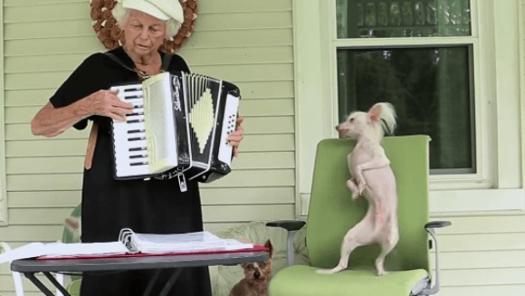 Câinele dansează fericit pe muzica bunicii – VIDEO adorabil