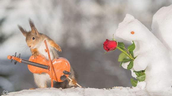 Cele mai talentate veveriţe le predau copiilor alfabetul – Galerie Foto