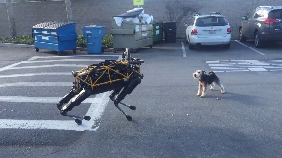 A avut loc prima întâlnire între un câine real şi unul robot. Cum s-a desfăşurat ea – VIDEO