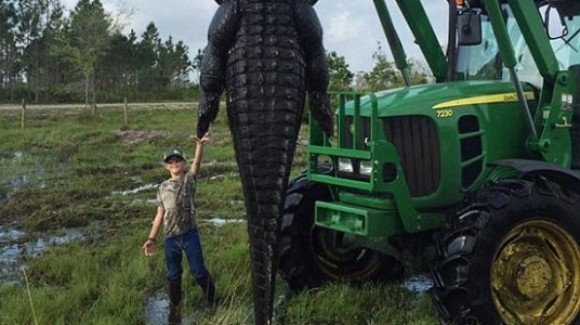 Un crocodil uriaș a fost împușcat în Florida. „Era un monstru ce trebuia înlăturat” (Foto)