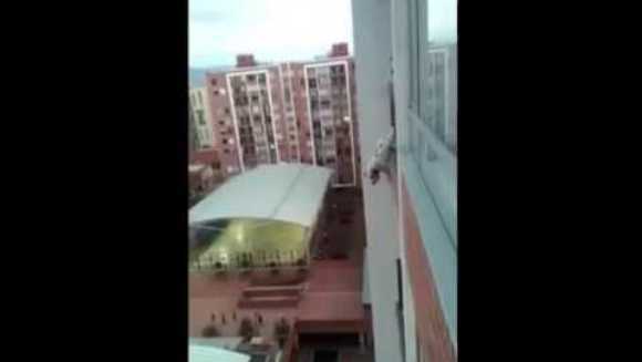 Operațiunea care te va ține cu sufletul la gură – cum a salvat un om obișnuit un câine blocat în balcon – VIDEO