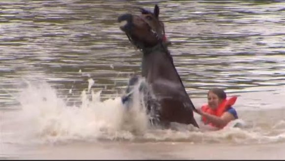 O femeie curajoasă a salvat un cal de la înec – VIDEO