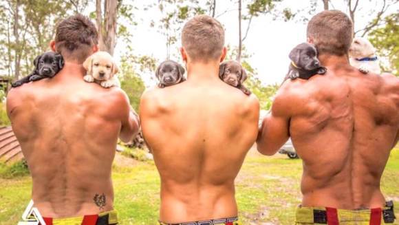 Pompieri australieni, în postaze incendiare pentru calendarul caritabil din 2017: au pozat alături de cățeluși – Galerie Foto