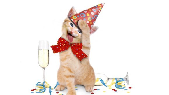 Happy birthday! – 20 cele mai simpatice petreceri aniversare ale animalelor – Galerie Foto