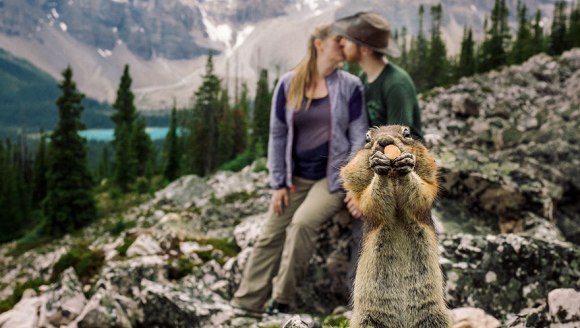 O veveriță „a stricat” ședința foto a unui cuplu, în cel mai adorabil mod – FOTO