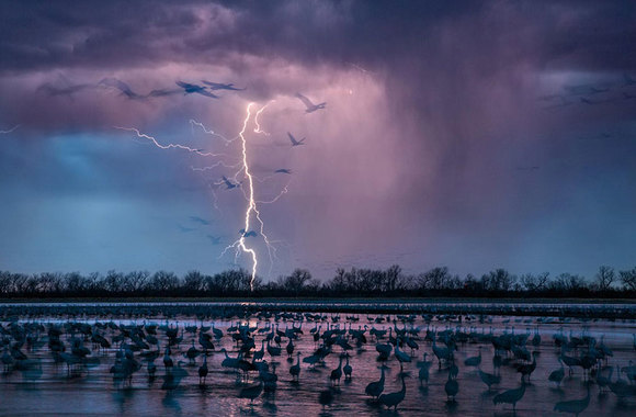 Cele mai bune imagini ale anului, nominalizate de National Geographic . (Galerie foto) zguduitoare