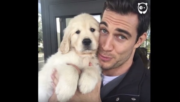 Oups! Evan Antin, cel mai sexy medic veterinar dintotdeauna, surprins în acţiune-  VIDEO