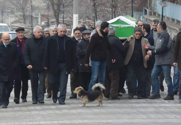 Gestul emoţionant pe care îl face un câine zilnic, de la moartea stăpânului său (Galerie Foto)