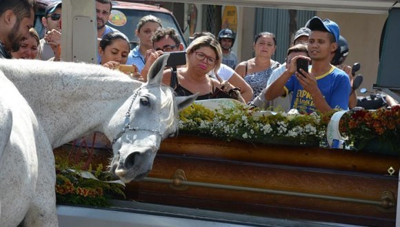 Momentul emoţionant în care un cal îşi ia rămas-bun de la stăpânul său, la funeraliile acestuia – Galerie foto