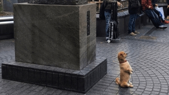 Gestul unui căţel vă va topi inima: ce a făcut când i-a văzut statuia lui Hachiko – Foto