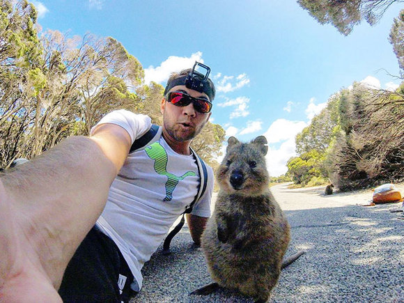 S-a întâlnit cu cel mai prietenos quokka din lume. Animăluţul nu l-a lăsat să plece până nu au făcut poze împreună (Galerie foto)