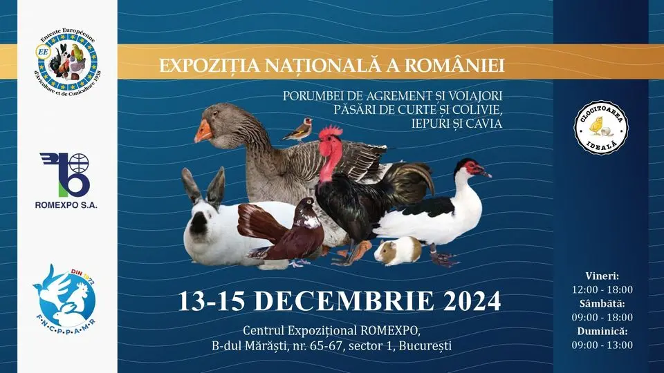 Expoziția de Porumbei, Păsări de curte și Colivie, Iepuri și Cavia, Romexpo, 13-15 decembrie 2024