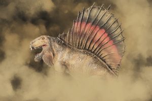 Dimetrodon