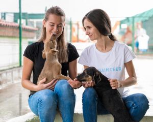 Amazon intră în Irlanda cu un magazin online propriu. Ce trebuie să știe toți proprietarii de animale