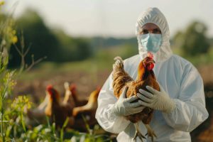 Primul focar al gripei aviare mortale H7N9, raportat de America